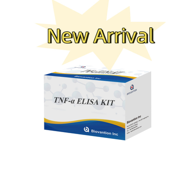 TNF-α RUO Elisa Test per plasma sirico Soluzione diagnostica accurata e conveniente per la ricerca
