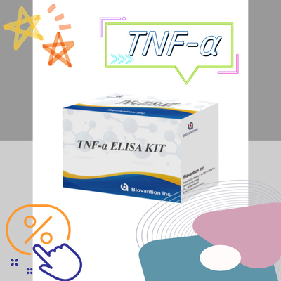 TNF-α RUO Elisa Test per plasma sirico Soluzione diagnostica accurata e conveniente per la ricerca