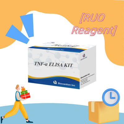 TNF-α RUO Elisa Test per plasma sirico Soluzione diagnostica accurata e conveniente per la ricerca
