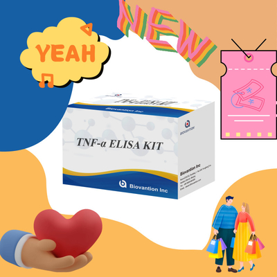 TNF-α RUO Elisa Test per plasma sirico Soluzione diagnostica accurata e conveniente per la ricerca