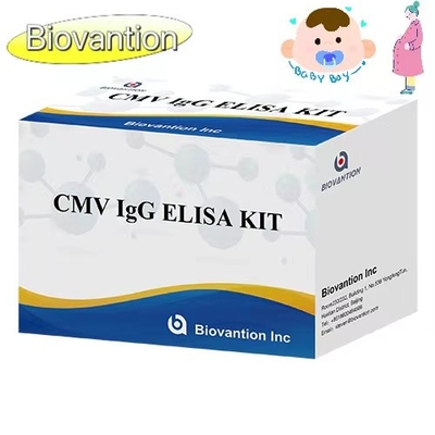 CMV IgG ELISA Kit Donne in gravidanza Test preventivo Alta precisione