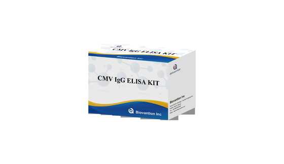 CMV IgG ELISA Kit Donne in gravidanza Test preventivo Alta precisione
