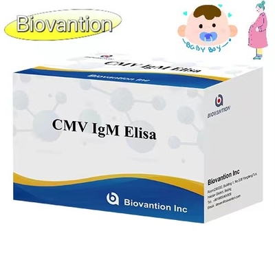 CMV IgM ELISA Kit Test preventivo ad alta precisione per le donne incinte