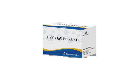 Instruzioni di utilizzo di alta precisione per il kit di prova ELISA con torcia IgG HSV II
