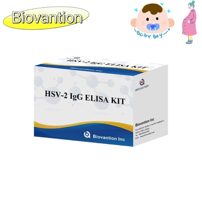 Instruzioni di utilizzo di alta precisione per il kit di prova ELISA con torcia IgG HSV II