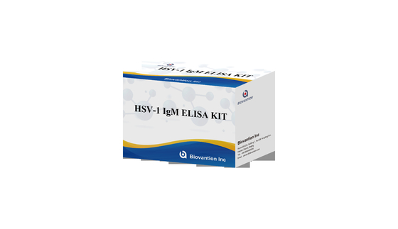 Kit di test ELISA con torcia HSV 1 IgM Reagente diagnostico IVD ad alta velocità di vendita