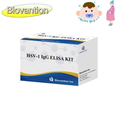 HSV 1 IgG Torch ELISA Test Kit Reagente diagnostico IVD