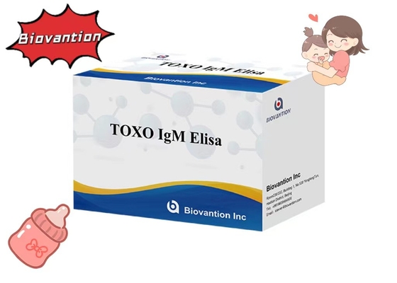 TOXO IgM ELISA Test Kit Torch Test Ospedaliero ad alta sensibilità Controllo della gravidanza