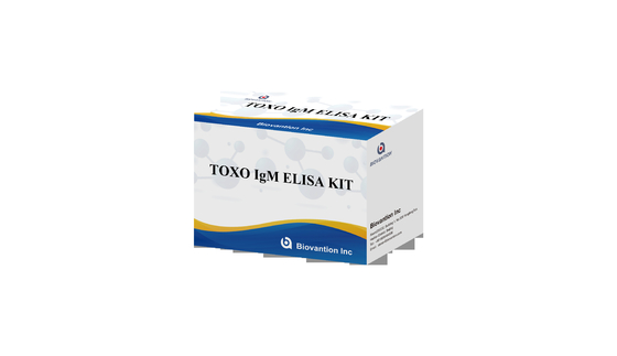 TOXO IgM ELISA Test Kit Torch Test Ospedaliero ad alta sensibilità Controllo della gravidanza