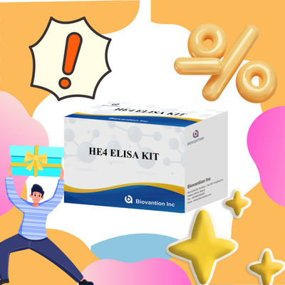Diagnostica medica Kit di analisi ELISA sensibile e affidabile per HE4 KITS ELISA