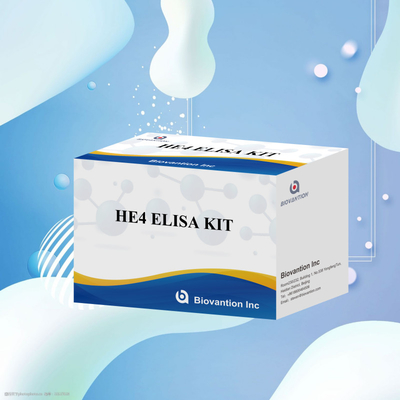 Diagnostica medica Kit di analisi ELISA sensibile e affidabile per HE4 KITS ELISA