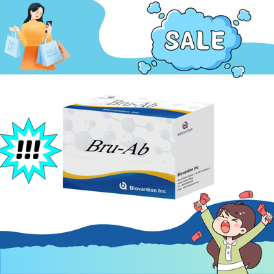 ELISA Animal Bru-Ab Reagente Elisa con 192 t Per suini Capre Bovini E pecore