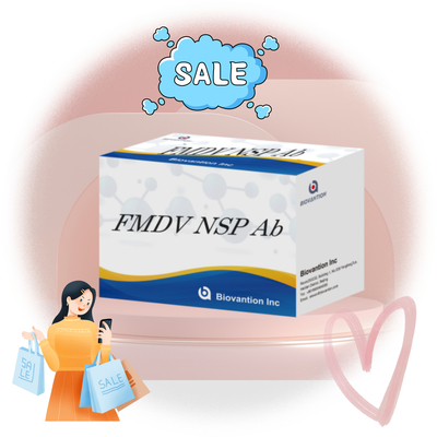 Kit di prova Elisa della serie animale FMDV NSP Ab Reagenti diagnostici per anticorpi sierici per animali