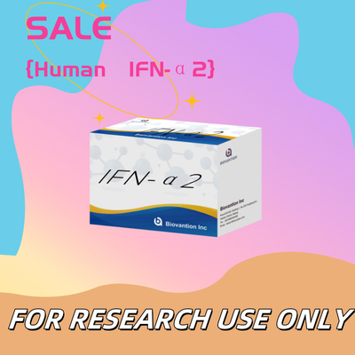 Reagenti Elisa Kit Umano IFN-α2 per la Ricerca Utilizzo Reagenti Elisa Alta sensibilità