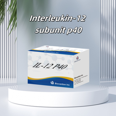 96 T Siero 98% Specificità ELISA RUO Test Kit Uomo IL-12 P40