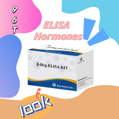 β-hCG ((Quantitativo) 1 ora kit di prova Elisa per la sensibilità e la specificità degli anticorpi