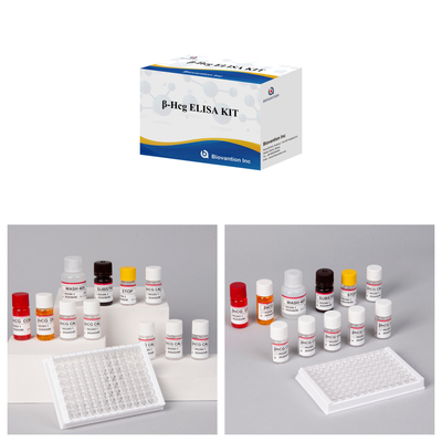 β-hCG ((Quantitativo) 1 ora kit di prova Elisa per la sensibilità e la specificità degli anticorpi