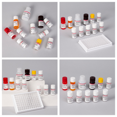 β-hCG ((Quantitativo) 1 ora kit di prova Elisa per la sensibilità e la specificità degli anticorpi