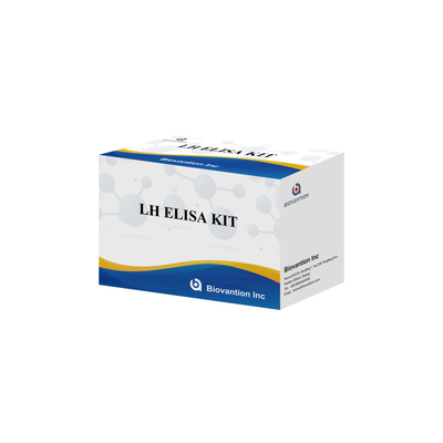 Biovantion kit di analisi ELISA per la diagnosi dell' ormone luteinizzante umano