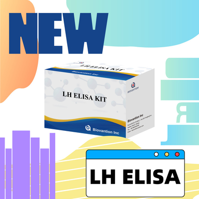Biovantion kit di analisi ELISA per la diagnosi dell' ormone luteinizzante umano