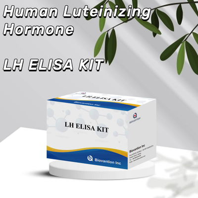 Biovantion kit di analisi ELISA per la diagnosi dell' ormone luteinizzante umano