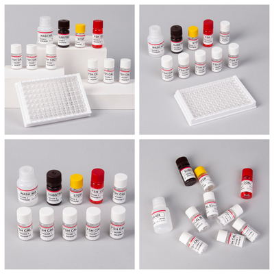 18 mesi di durata di conservazione Sensitività FSH (Quantitative) Kit ELISA per la rilevazione di anticorpi antigenici