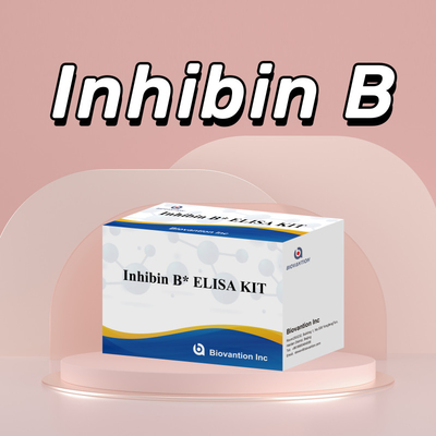 Biovantion Inhibin B Elisa Test Kit per la diagnosi umana con 96T