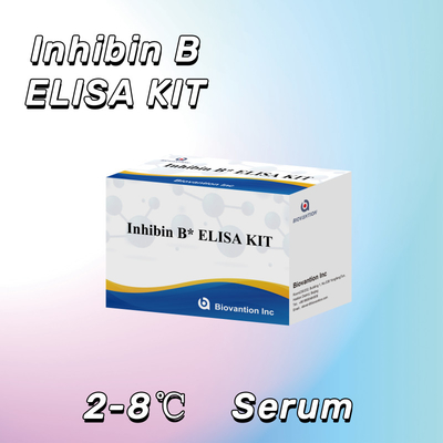 Biovantion Inhibin B Elisa Test Kit per la diagnosi umana con 96T