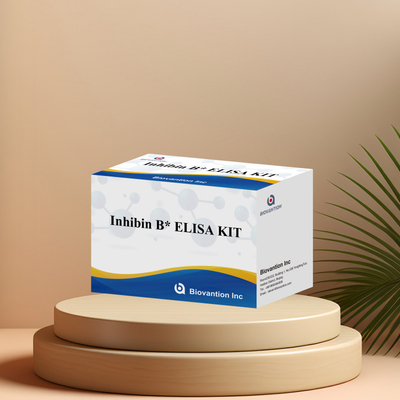 Biovantion Inhibin B Elisa Test Kit per la diagnosi umana con 96T