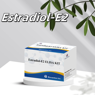 Biovantion Estradiol Quantitative 96-Well Plate Test Kit per campioni di siero con maggiore sensibilità