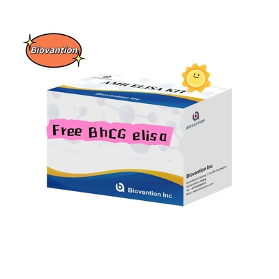 Serum del kit di prova di BhCG Elisa gratuito Conservazione 2-8.C Durazione di 18 giorni per la somministrazione orale