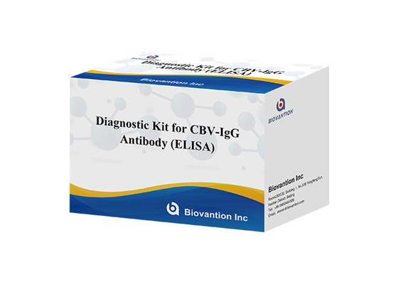Kit diagnostico per anticorpi anti-CBV-IgG kit di prova ELISA kit di prova del siero