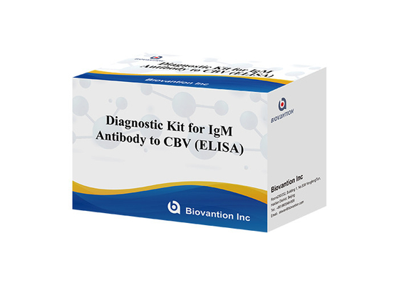 Kit diagnostico per anticorpi IgM contro CBV Kit di prova Elisa 50μL siero Diagnostica medica