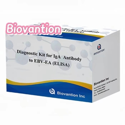 Kit di test EBV-EA Elisa Kit diagnostico per anticorpi IgA ad alta precisione