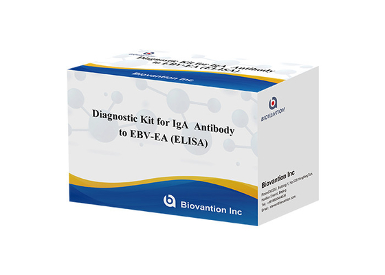 Kit di test EBV-EA Elisa Kit diagnostico per anticorpi IgA ad alta precisione