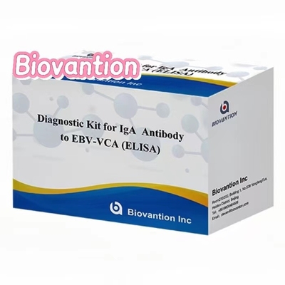Kit ELISA EBV VCA IgA ad alta sensibilità per la diagnosi medica utilizzando campioni di siero da 50 μl