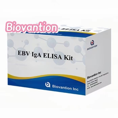 Anticorpo IgA contro EBNA1 Kit di prova Elisa Sero 50μL Formatto del kit campione