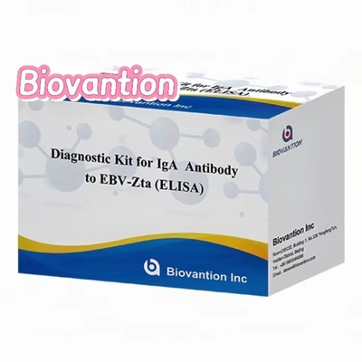 Kit diagnostico per anticorpi IgA contro EBV-Zta ELISA TEST KIT Kit di test immunosorbente