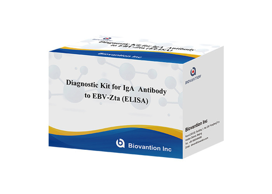 Kit diagnostico per anticorpi IgA contro EBV-Zta ELISA TEST KIT Kit di test immunosorbente