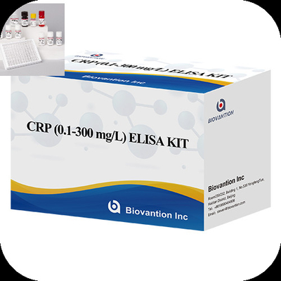 CRP 0,1-300 mg/l Speticità Kit di prova Elisa con tempo di analisi rapido di 1 ora