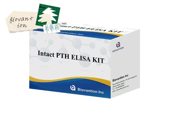 Kit di prova ELISA per PTH 96 intatto per campioni di plasma con tempo di analisi di 1 ora