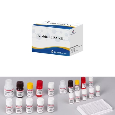 Ferritin IVD Elisa Conservante animale per campioni di plasma sirico