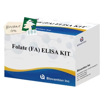 Folato FA Kit di test di immunoassaggio per diagnosi medica con elevata sensibilità e specificità