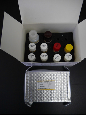 Kit di prova AMH ELISA 3 ore 18 mesi Durazione di conservazione Con CE ISO13485