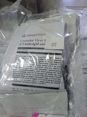 Virus di Coxsackie A16 CVA16-IgM Anticorpi Cassetta Rapid Test Siero Rapid Test Professionale
