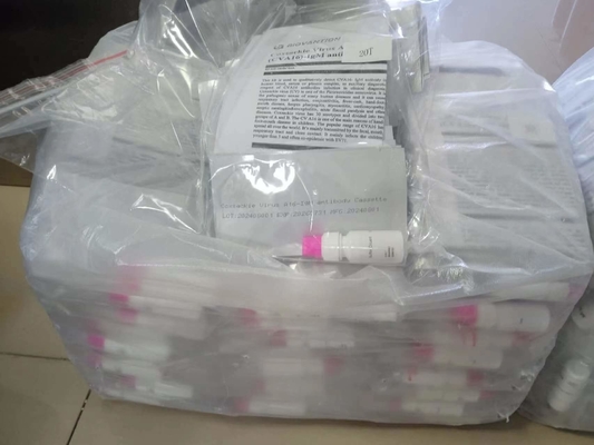 Virus di Coxsackie A16 CVA16-IgM Anticorpi Cassetta Rapid Test Siero Rapid Test Professionale