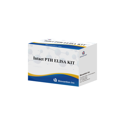 Kit di rilevamento per PTH intatto per reagente di rilevamento umano per plasma sierico umano