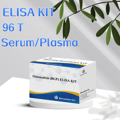 Kit di rilevamento per l' osteocalcina BGP per l' uomo Reagente di rilevamento per il plasma sierico umano