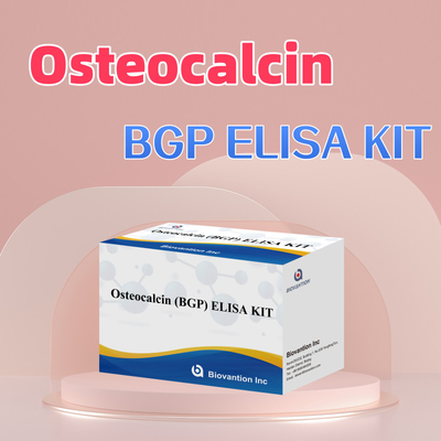 Kit di rilevamento per l' osteocalcina BGP per l' uomo Reagente di rilevamento per il plasma sierico umano