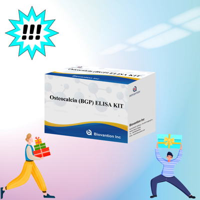 Kit di rilevamento per l' osteocalcina BGP per l' uomo Reagente di rilevamento per il plasma sierico umano